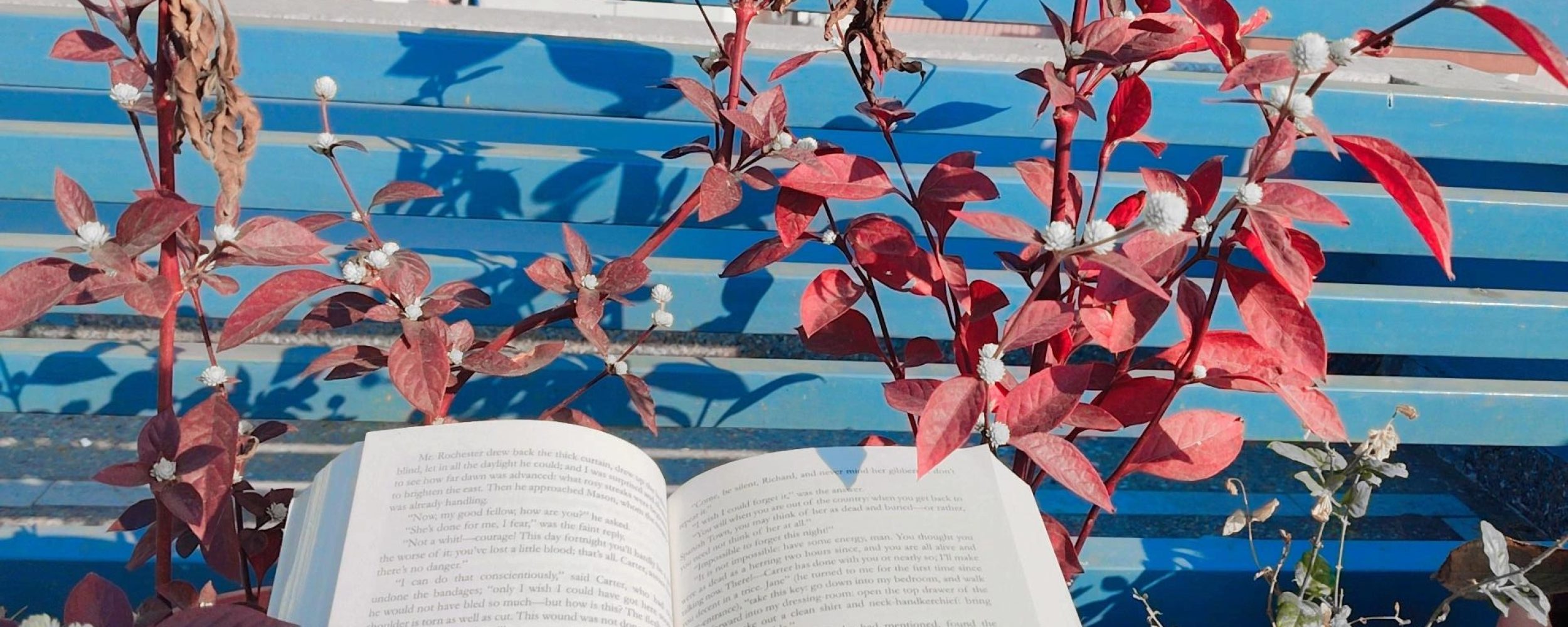 IMG_20241127_142953_885